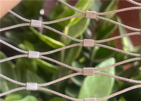 2.5 মিমি স্টেইনলেস স্টিল ফেরুল রোপ জাল, বিল্ডিং фасаদ সবুজ প্রাচীরের জন্য শক্তিশালী এবং নমনীয়