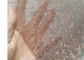 ধাতব জাল স্তরায়ণ আর্কিটেকচারাল ফ্যাব্রিক স্তরিত গ্লাস আলংকারিক আয়না প্রাচীর